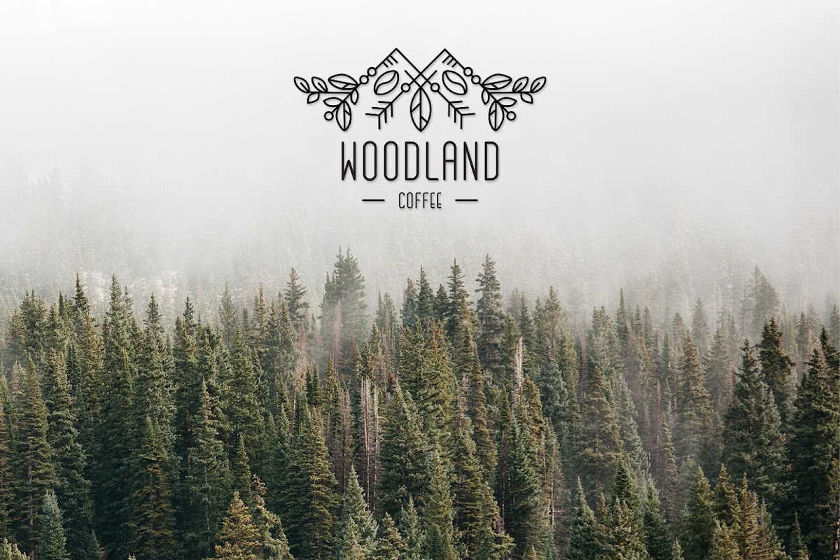 Woodland Coffee — photo 3